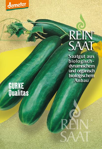 Reinsaat Bio Gurke Salatgurke Qualitas