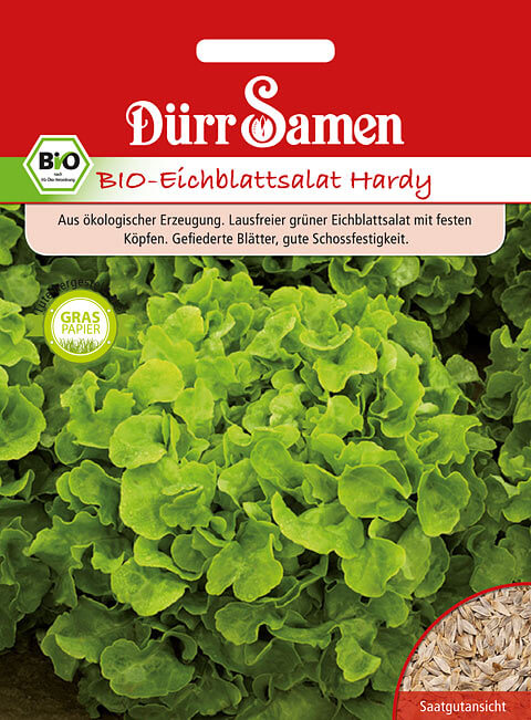 Dürr Samen Salat BIO-Eichblattsalat Hardy grün