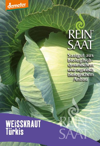 Reinsaat Bio Weiskraut Türkis