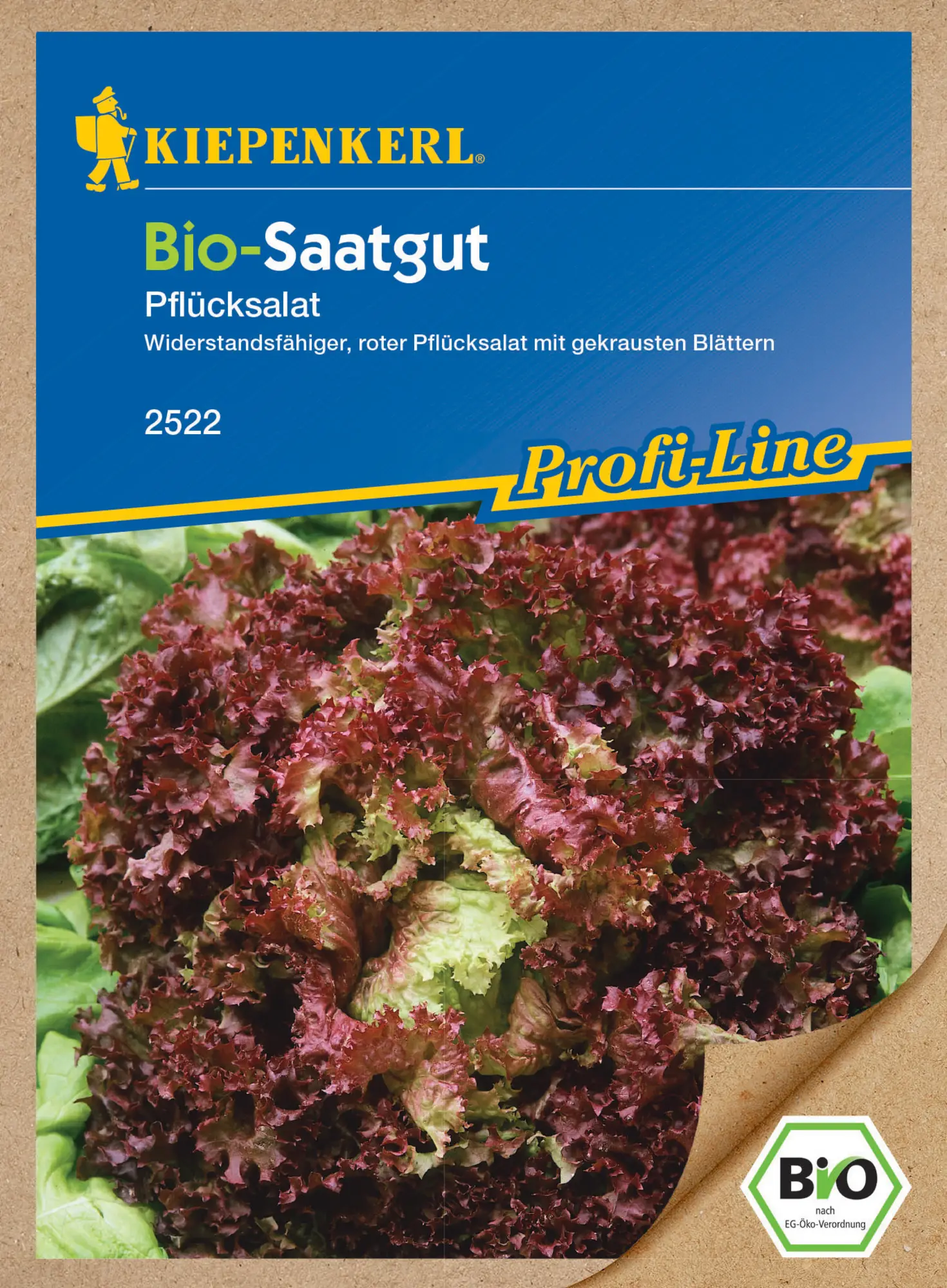 Kiepenkerl Salat BIO Pflücksalat Lollo Rosso