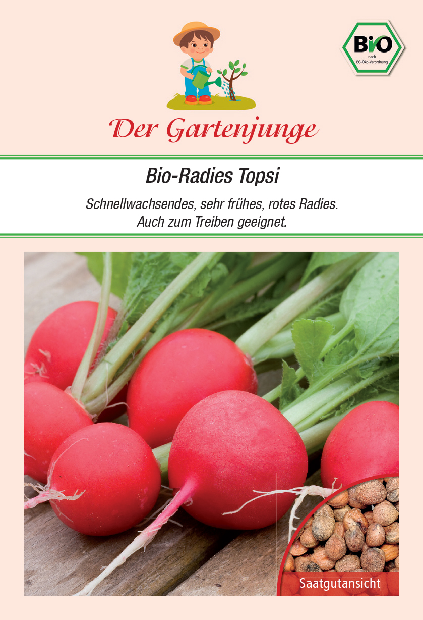 Der-Gartenjunge Bio-Radies Topsi