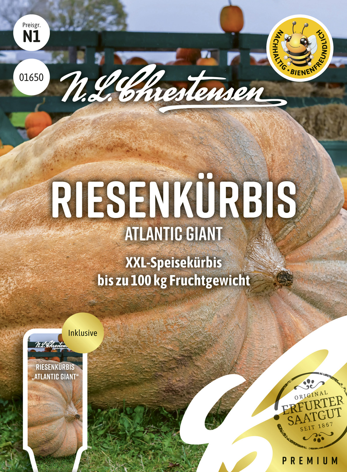 N.L Chrestensen Riesenkürbis Atlantic Giant