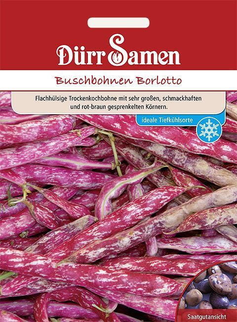 Dürr Samen Borlotto Bohnensamen