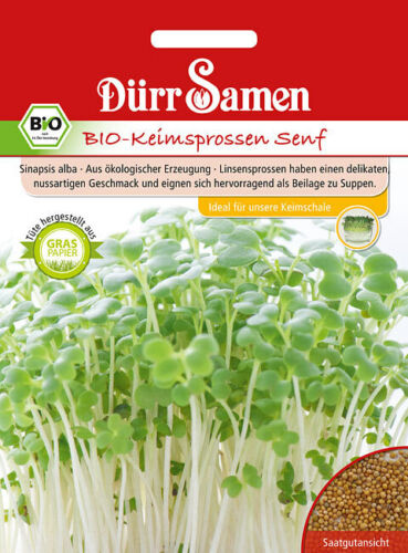 Dürr Samen BIO-Keimsprossen Senf