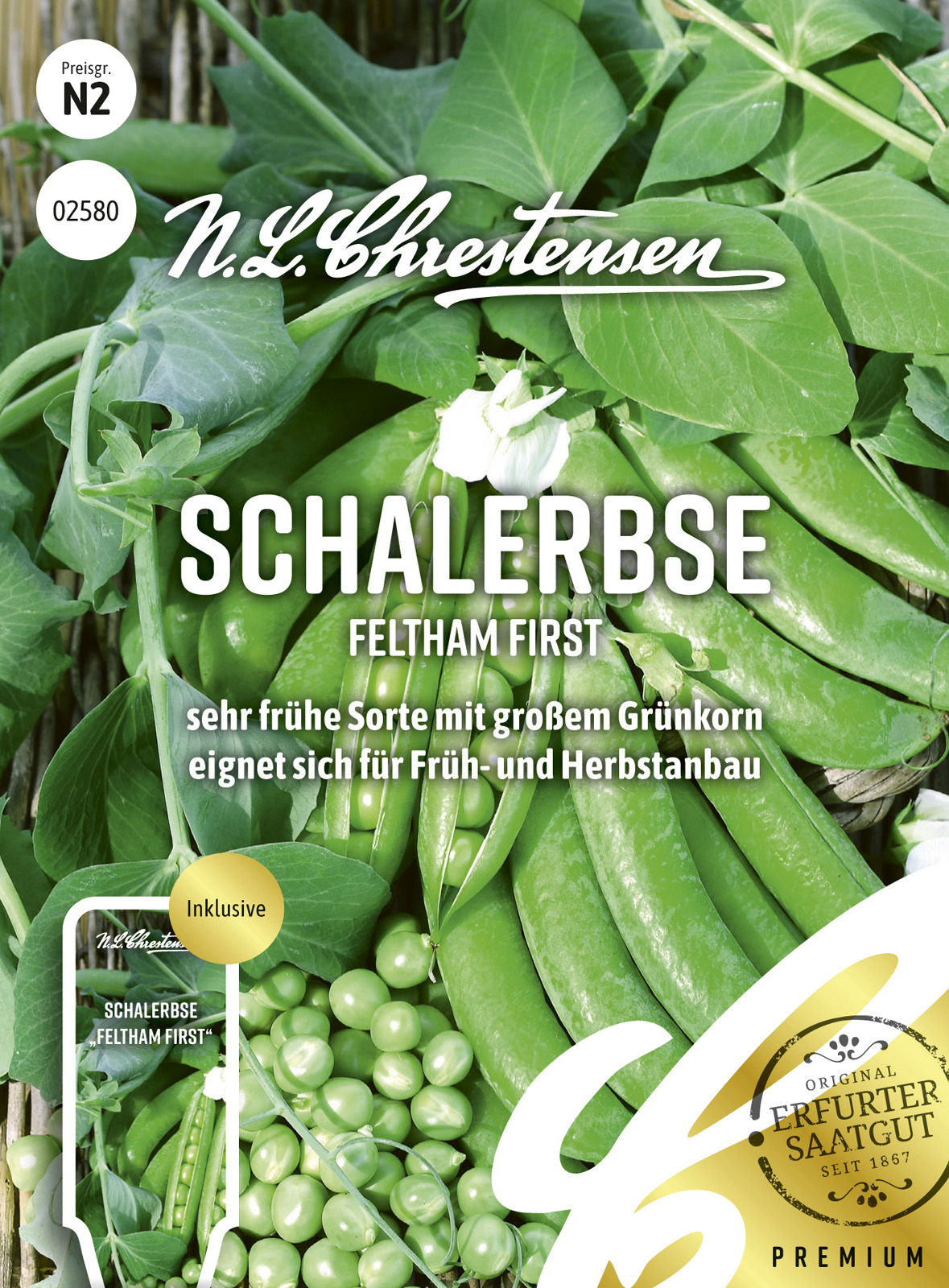 N.L Chrestensen Schalerbse Feltham First