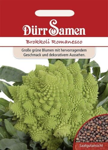 Dürr Samen Brokkoli Romanesco