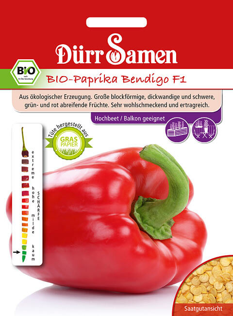 Dürr Samen BIO-Paprika Bendigo F1