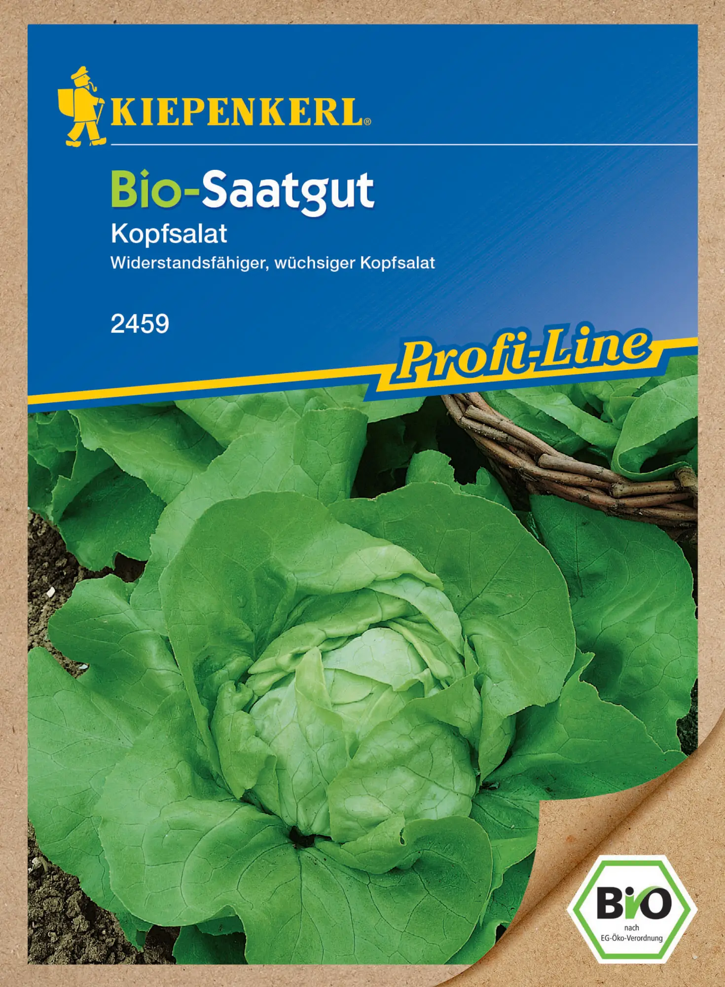 Kiepenkerl Salat BIO Kopfsalat Matilda