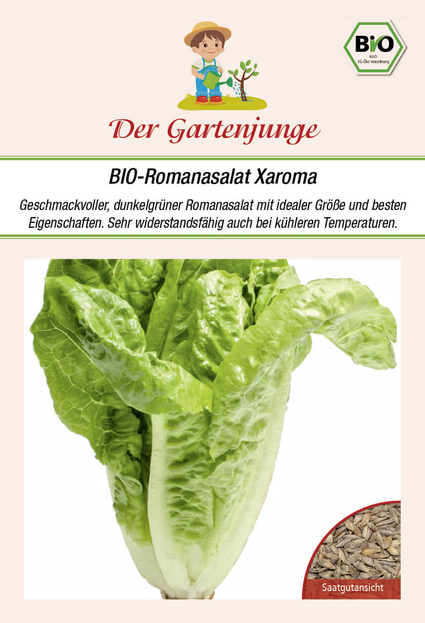 Der-Gartenjung BIO-Romanasalat Xaroma