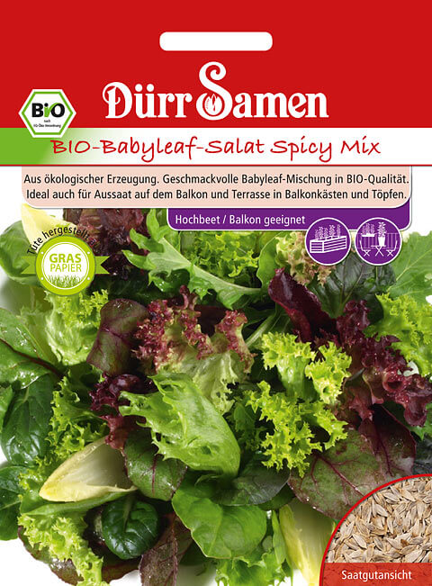 Dürr Samen Salat BIO-Babyleaf-Salat Spicy Mix