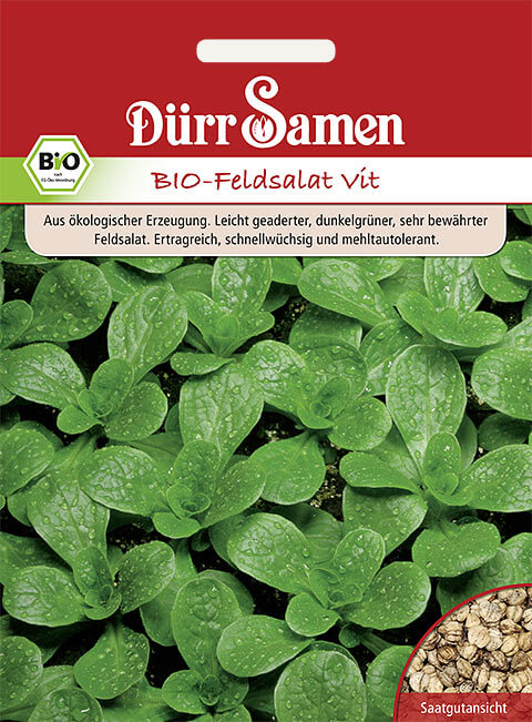 Dürr Samen Salat BIO-Feldsalat Vit