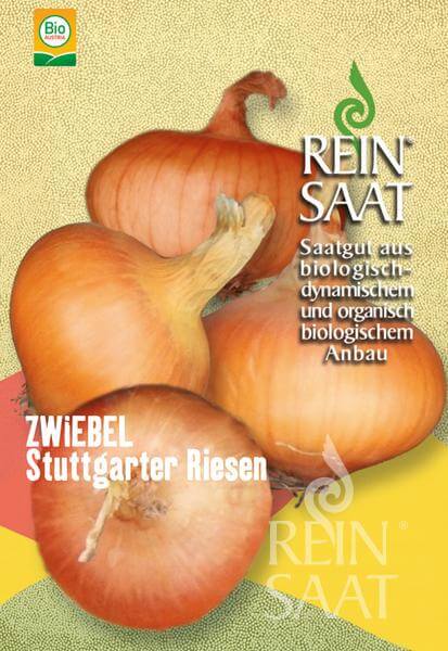 Reinsaat BIO Zwiebel Stuttgarter Riesen