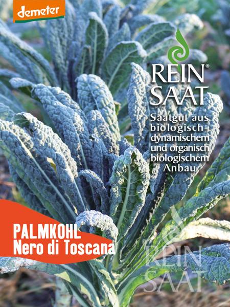 Reinsaat BIO Palmkohl Nero di Toscana