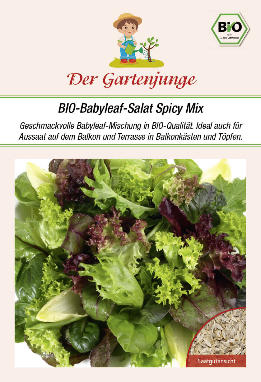 Der-Gartenjunge BIO-Babyleaf-Salat  spicy mix