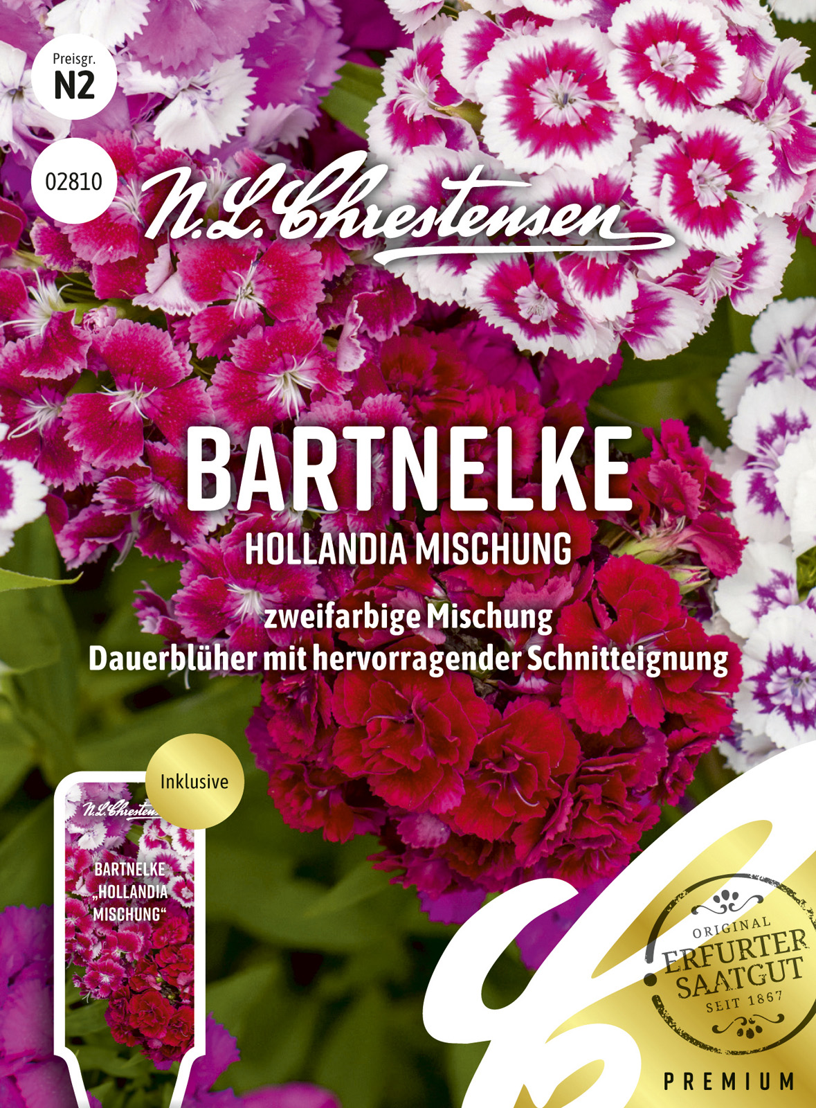 N.L Chrestensen Bartnelke Hollandia Mischung