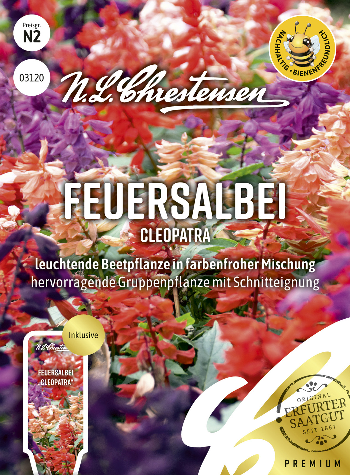 N.L Chrestensen Feuersalbei Cleopatra