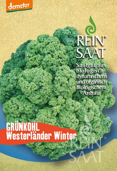 Reinsaat BIO Grünkohl Westlandse Winter