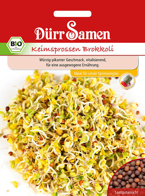 Dürr Samen BIO-Keimsprossen Brokkoli, 20g