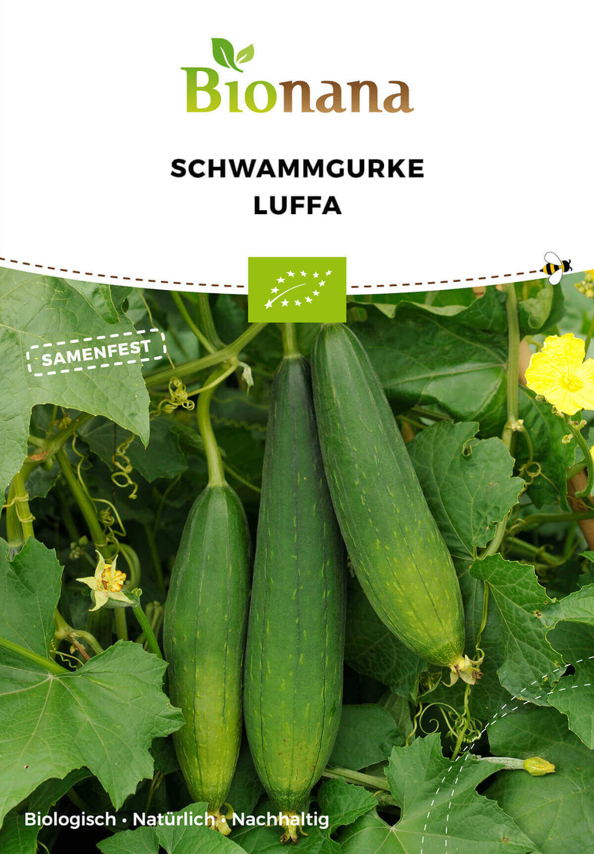 Bionana Bio Schwammgurke  Luffa" MHD Ablauf