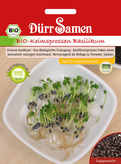 Dürr Samen BIO-Keimsprossen Basilikum, 25g