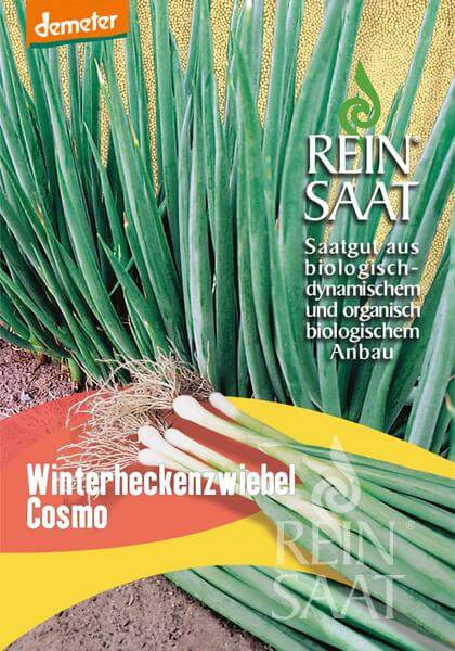 Reinsaat Bio Winterheckenzwiebel Cosmo