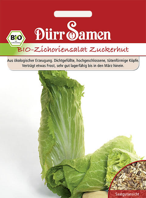 Dürr Samen Salat BIO-Zichoriensalat Zuckerhut