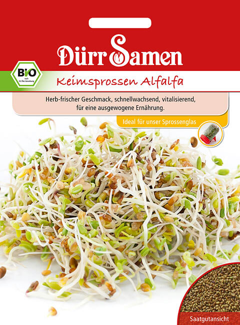 Dürr Samen BIO-Keimsprossen Alfalfa, 50g