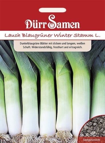 Dürr Samen Lauch Blaugrüner Winterstamm