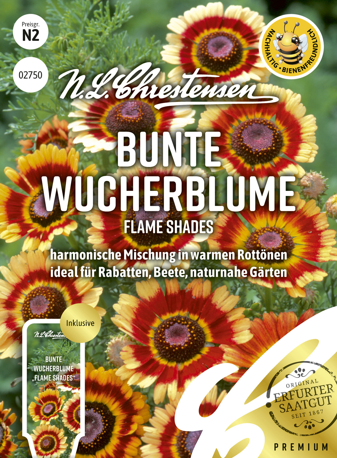 N.L Chrestensen Bunte Wucherblume Flame Shades