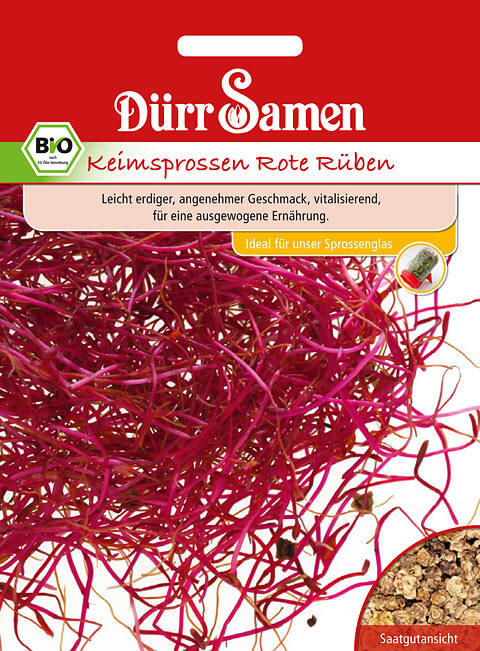 Dürr Samen BIO-Keimsprossen Rote Rüben, 30g