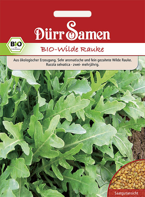 Dürr Samen Salat BIO-Wilde Rauke