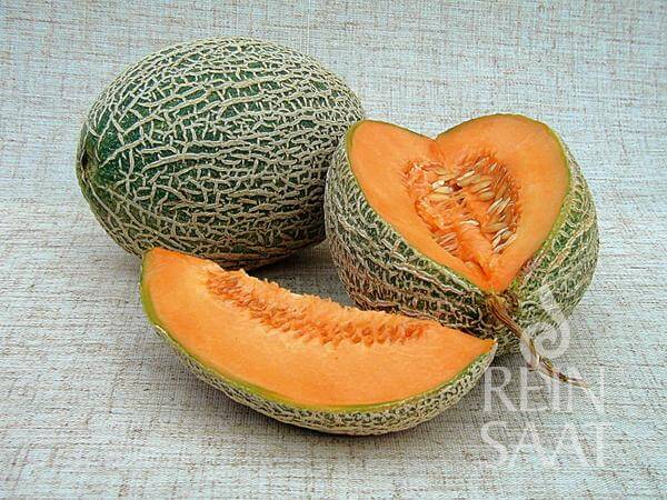 Reinsaat BIO Melone Zuckermelone Best Jumbo