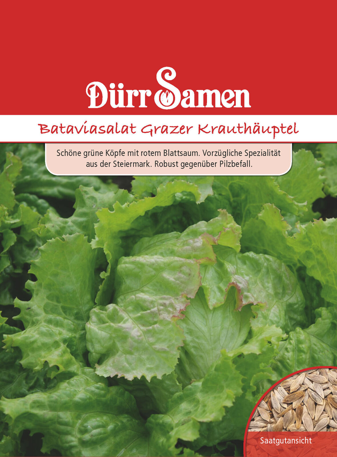 Dürr Samen Bio Bataviasalat Grazer Kräuterhäuptel