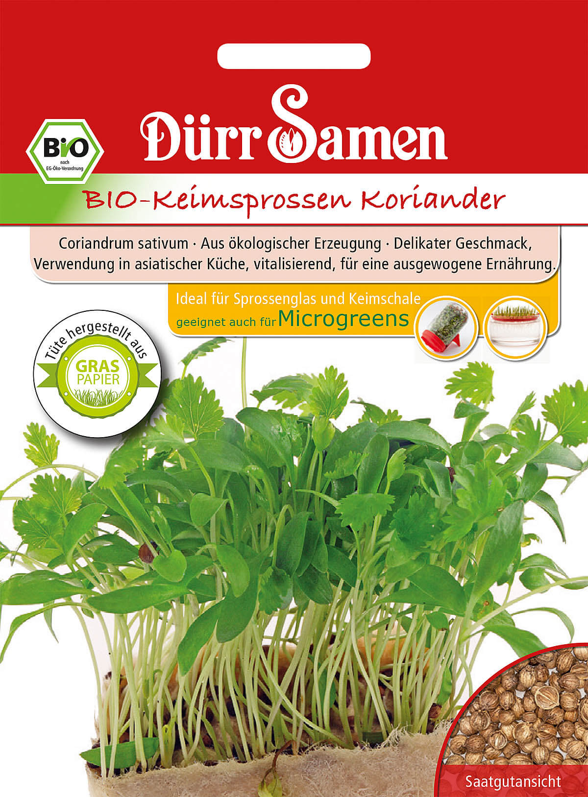 Dürr Samen BIO-Keimsprossen Koriander, 20g