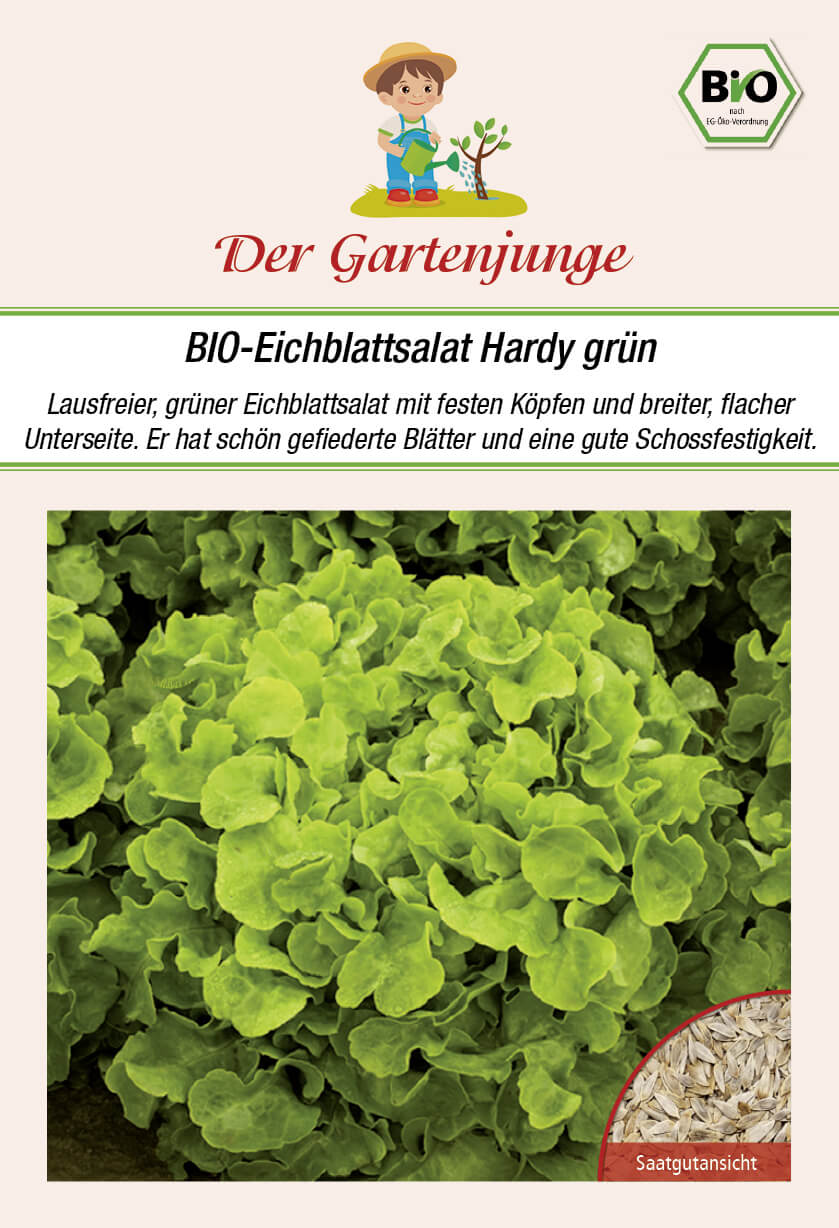 Der-Gartenjunge BIO-Eichblattsalat Hardy grün