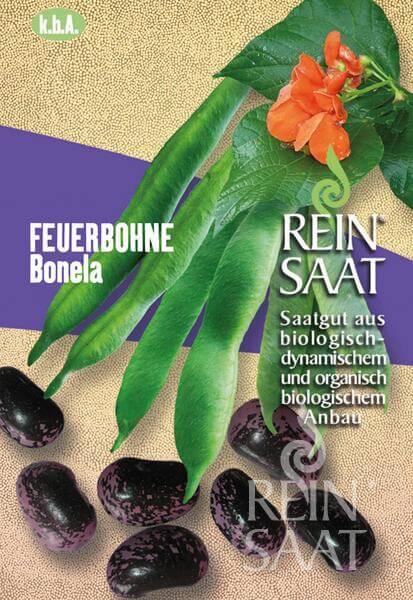 Reinsaat BIO Feuerbohne Bonela