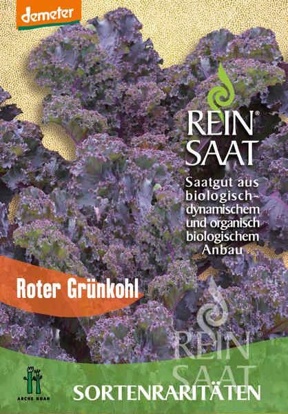 Reinsaat BIO Roter Grünkohl