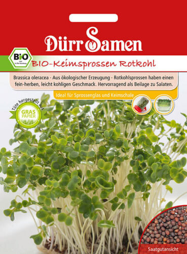 Dürr Samen Bio Keimsprossen Rotkohl