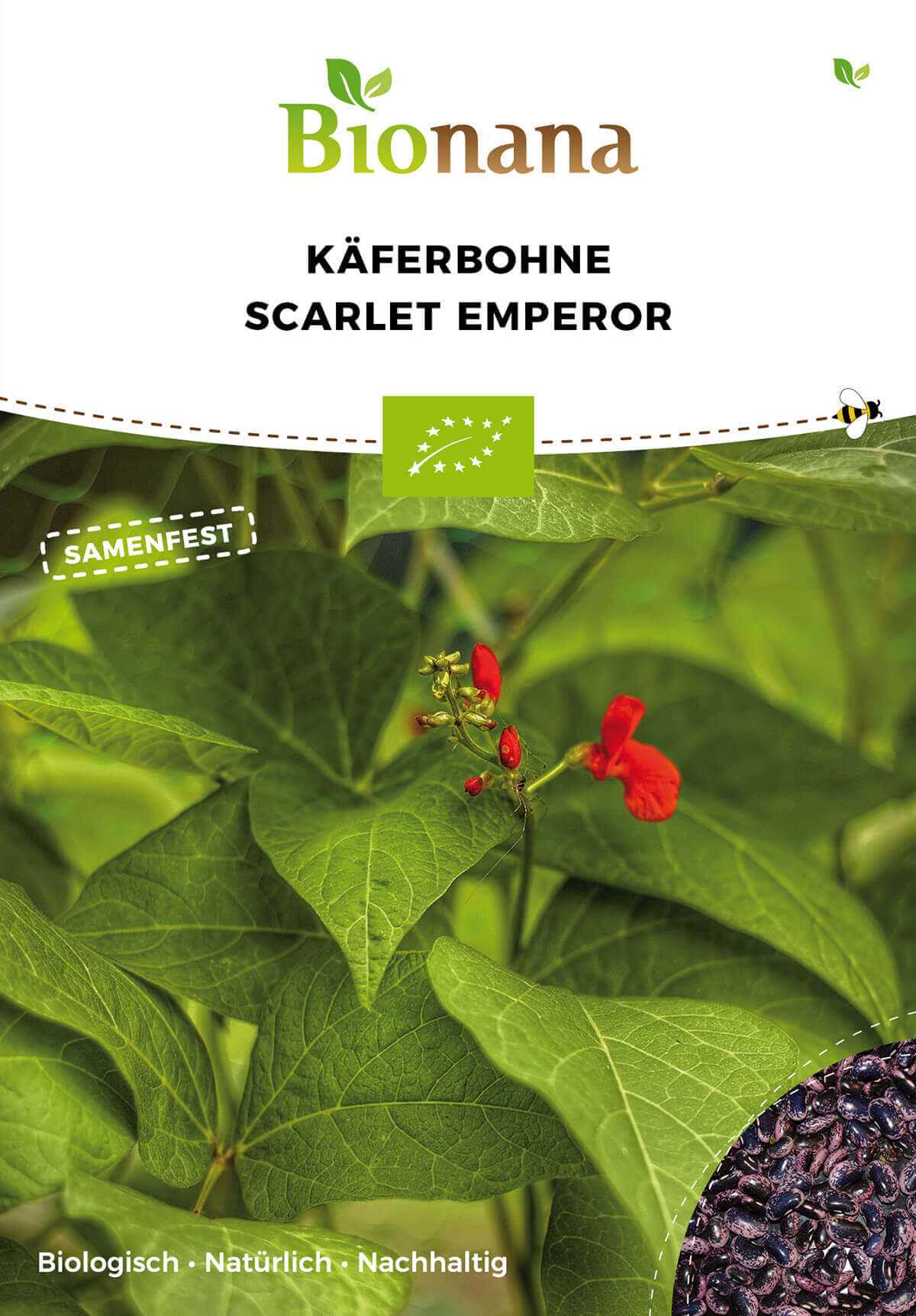 Bionana Bio-Käferbohne Scarlet Emperor MHD Ablauf