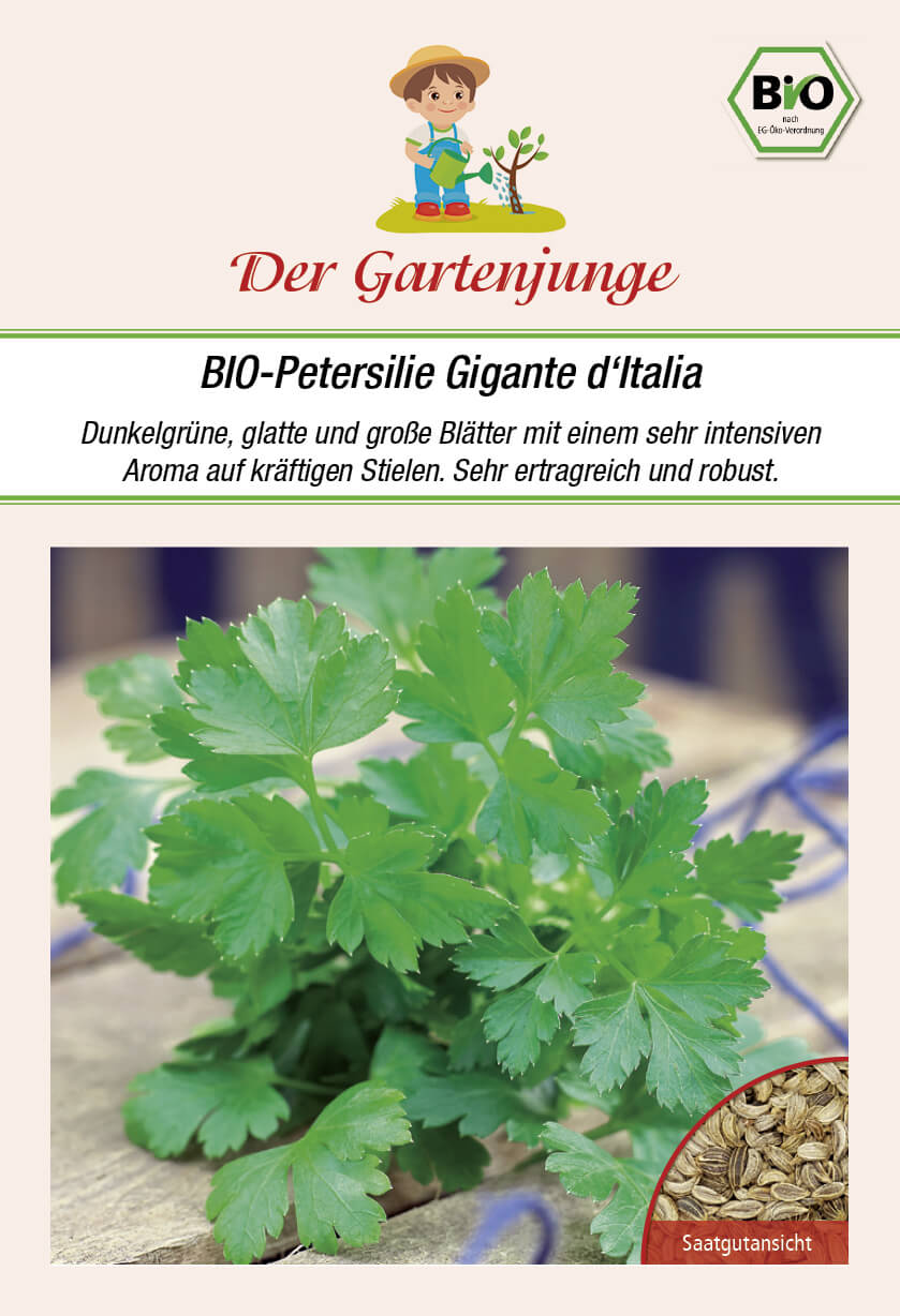 Der-Gartenjunge BIO-Petersilie Gigante d'Italia