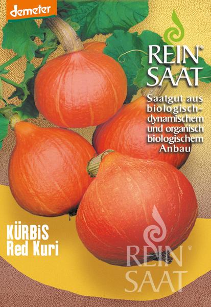 Reinsaat BIO Hokkaido Kürbis Red Kuri