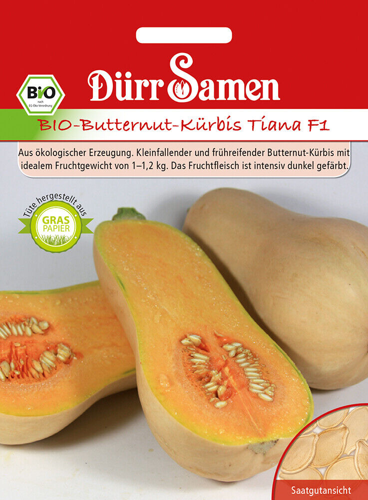 Dürr Samen Bio Butternut Kürbis Tiana F1