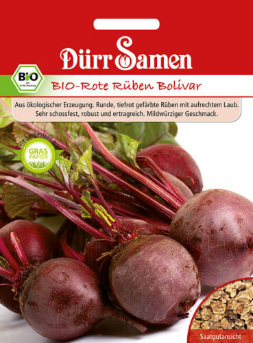 Dürr Samen Bio Rote Rüben Bolivar