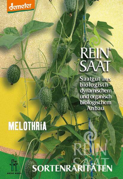 Reinsaat Bio Mexikanische Minigurke Melothria Melone