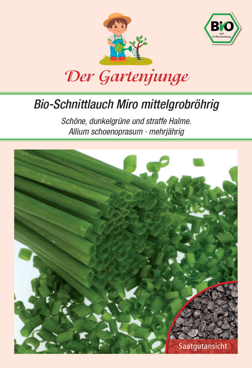 Der-Gartenjunge Bio-Schnittlauch Miro mittelgrobröhrig