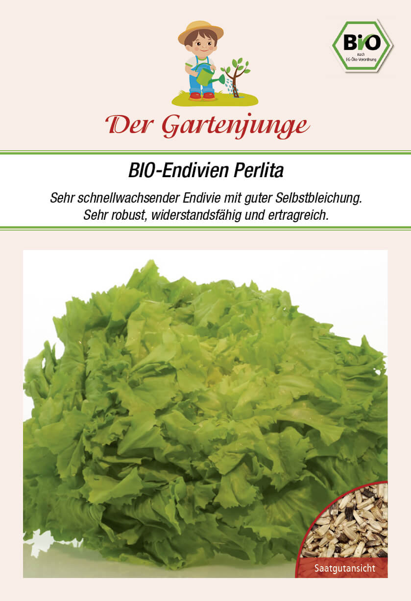 Der-Gartenjung BIO-Endivien Perlita