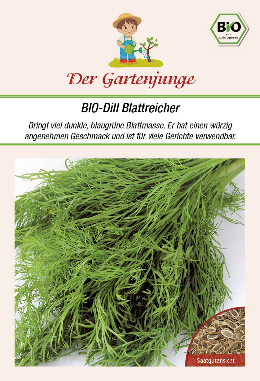 Der-Gartenjunge BIO-Dill Blattreicher