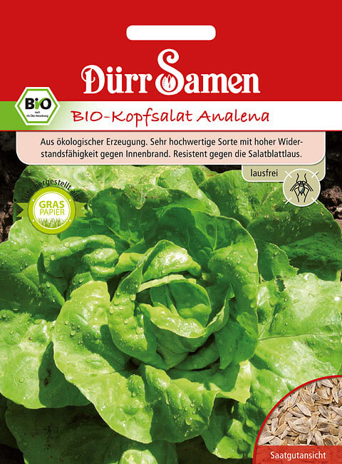 Dürr Samen Salat BIO-Kopfsalat Analena