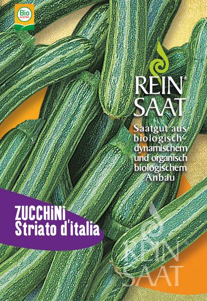 Reinsaat BIO Zucchini Striato dItalia mittelfrühe Sorte