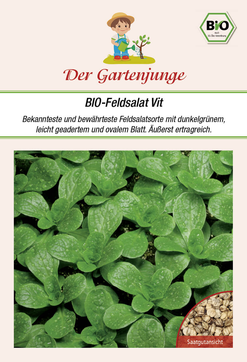 Der-Gartenjunge BIO-Feldsalat Vit